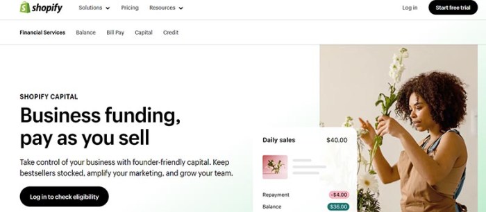 7 Best Platforms to Access Ecommerce Business Loans - Unlimited Graphic ...